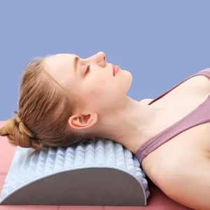 SpineEase Support Cushion